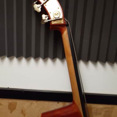 Eastman Upright Bass VB80 image 3