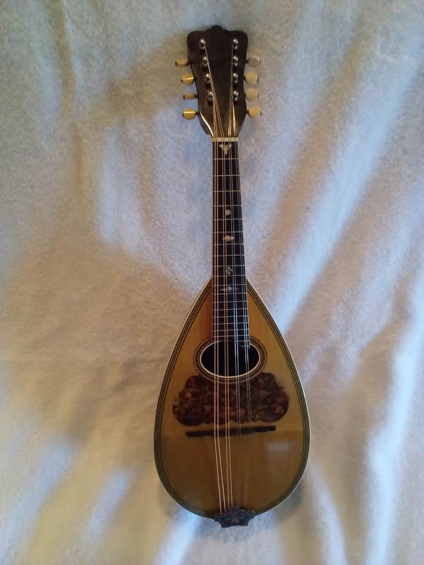Washburn Model 130 1895-1900 - Gloss image 1