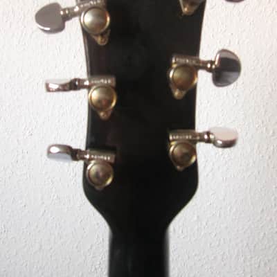 Godwin Organ Guitorgan 1976 black image 8