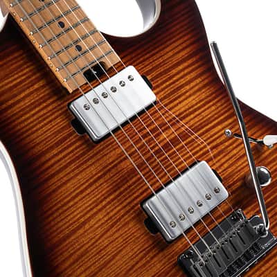 Cort G290 FAT II, Roasted Maple Neck & Fretboard, Antique Violin Burst, Mint, image 18