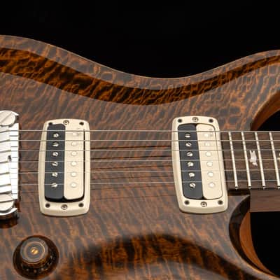 PRS Paul's Guitar Mango Top Limited Edition Electric Guitar w/Hardshell Case, Tiger Eyes image 6