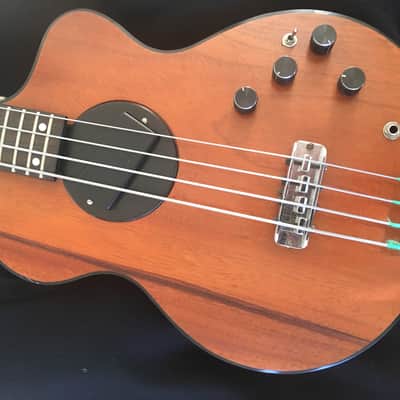 Rick Turner Model 1 Bass 1980 Mohagany image 1