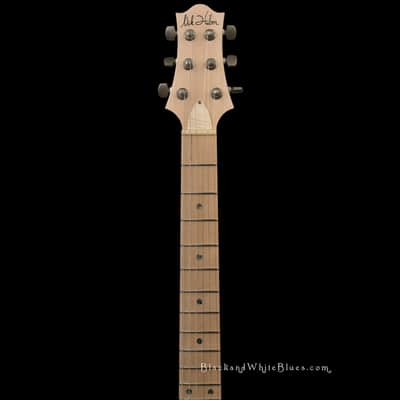 Nik Huber Guitars Twangmeister in Custom Lake Placid Blue - 4 1865 image 7