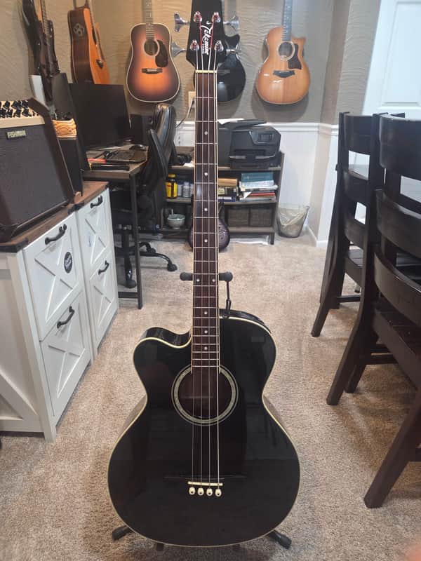 Takamine GB30CE