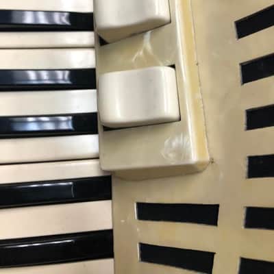 Vintage V.Galizi & Co. Accordion Stephen image 10
