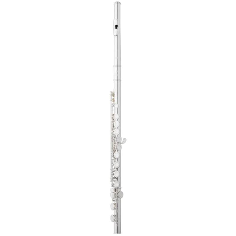 Eastman EFL210 Student C Flute image 1