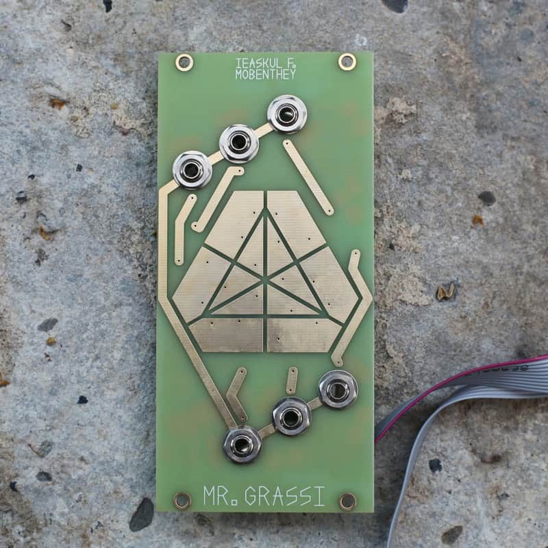 Ieaskul F. Mobenthey Mr Grassi Eurorack Noise & Random Module image 1