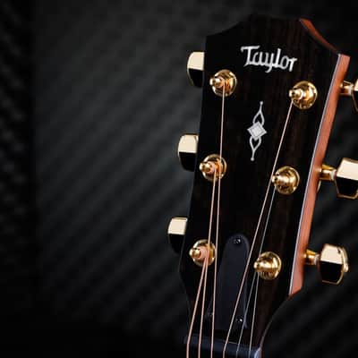 Taylor Guitar - 50th Anniversary 314ce LTD (2025 or Earlier) image 7