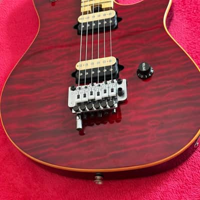 Peavey EVH Wolfgang Special Eddie Van Halen USA 1996 image 10