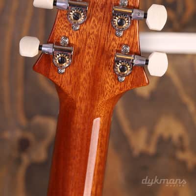 PRS DGT Aquamarine image 12