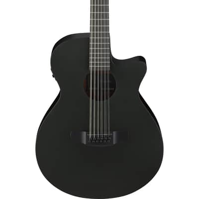 Ibanez AEG1221 AEG 12-String Acoustic Electric Guitar - Black Out image 1