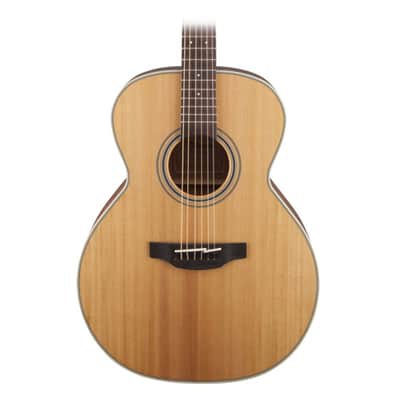 Takamine GN20 NS G20 Series NEX Acoustic Guitar Natural Satin