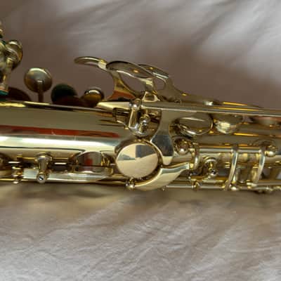 Selmer-Paris Super Action 80 Series III (Model 62 HA) (High Altisimo) Professional Model Eb Alto Saxophone Late 90's Gold Lacquer image 10