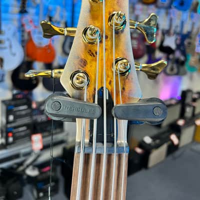 Ibanez SR Standard 5-string Electric Bass - Mars Gold Metallic Burst  Authorized Dealer! 103 FREE PLEK! image 6