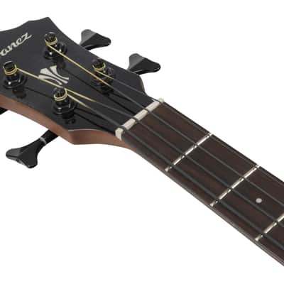 Ibanez AEGB25E-TKH image 6