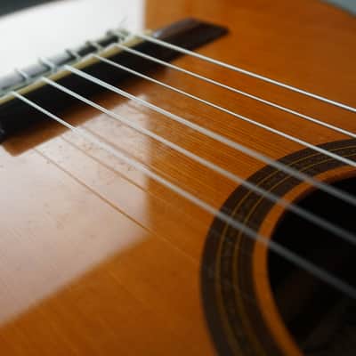 Aria A-20-48 Classical Guitar image 19