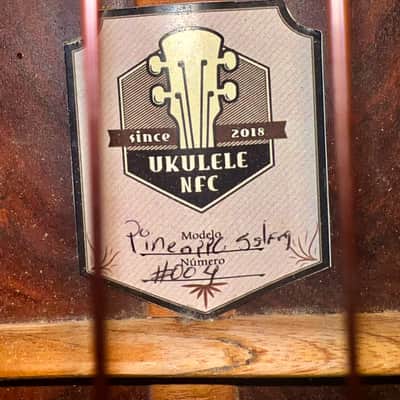 NFC (Nestoe Fuentes Cocobolo) Pineapple 5 String 2024 - Gloss image 8