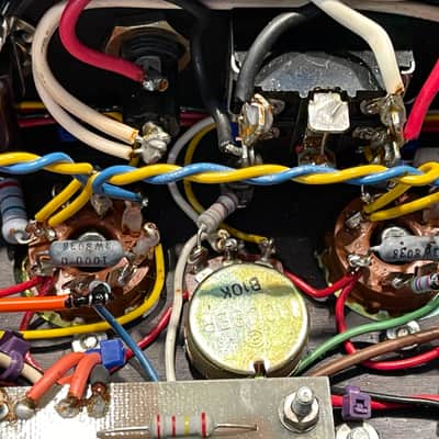 Dumble Overdrive Special with travel case image 17