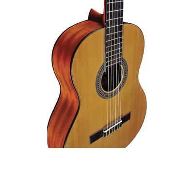 Chitarra Classica Eko Vibra 100 image 2