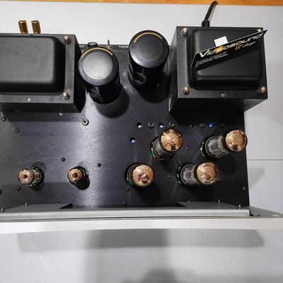 VTL MB-125 COPPIA FINALI MONO MONOBLOCK VALVOLARI TUBE POWER AMP VTL- MB125  Silver image 12