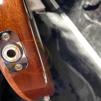Ernie Ball Music Man Sabre with Maple Fretboard 2020 - 2024 - Honey Suckle image 12
