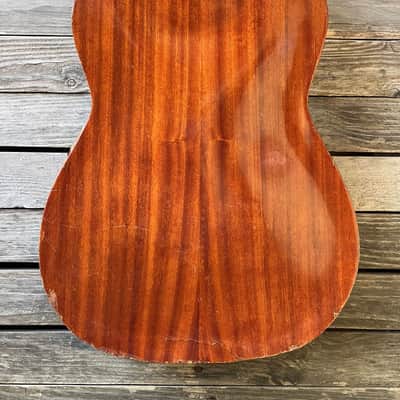 Folk Acoustic Guitar Clarissa Polverini Eko FiestaP1 P2 P10 image 9