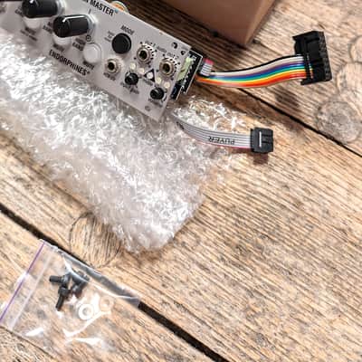 Endorphin.es Golden Master 1U Eurorack Synth Module - Silver image 2