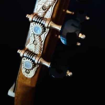 Yulong Guo Ziricote Concert 2016 #14 image 12
