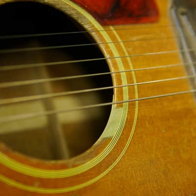 Gibson J-50 1967 - Natural image 4