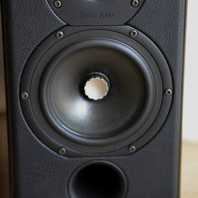 Immagine Sonus Faber Concertino Domus - 12