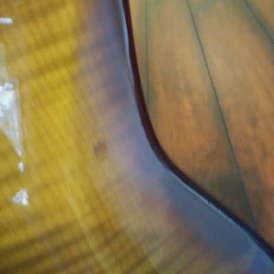 Austin Strat Style Guitar HSS - Sunburst - Flamed Maple Top/Back image 6