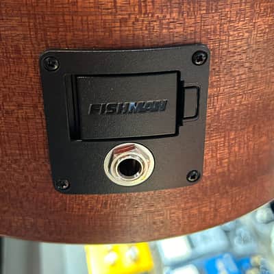 Martin  000Jr-10E Shawn Mendes  - Satin Spruce/Sapele w/Gig Bag 4lbs. 0.1oz. #2838025 image 16