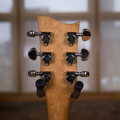 Lyon & Healy Electric Parlor by Paoletti - 160 Anniversary Limited Edition #7 image 13