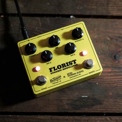 Benson Amps / Non-Human Audio Florist Dynamic Modulator image 8