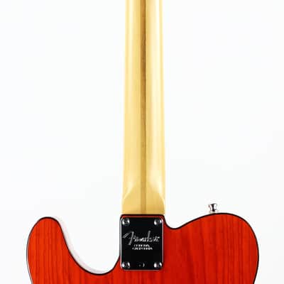 2001 Fender American 90's Telecaster Thinline DOUBLE BOUND TORTOISE Made in USA, ONE-OFF! Matching Headstock! image 10
