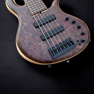 Elrick Basses Evolution Gold 6 - Burled Walnut 2024 - Satin image 4