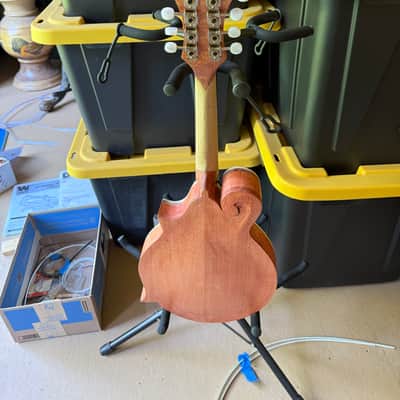 Handmade Berry Mandolin F5 2025 - Satin image 2