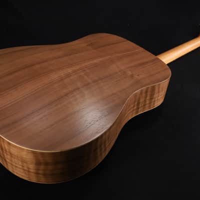 Taylor BBT 103 image 7