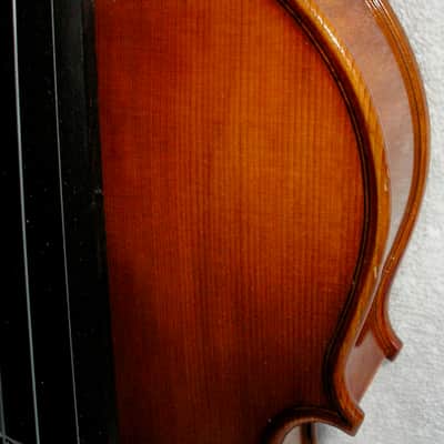 3/4 Eastman Strings for Marshall Music Signature Series Violin 2005 image 2