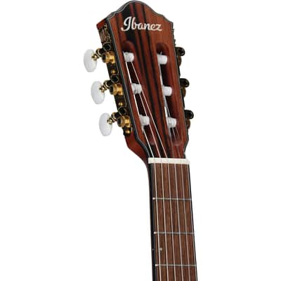 Ibanez FRH10N Classical Acoustic-Electric Guitar, Rose Gold Metallic image 6