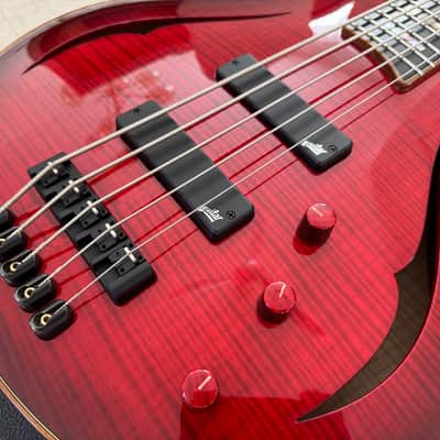 5 String Bass - Jazz Archtop - Semi Acoustic - Master Luthier image 6