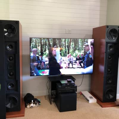 Dunlavy SCV / SC-V  Mastering Speakers image 1