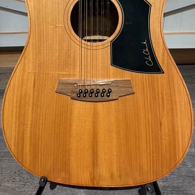 Cole Clark Fat Lady FL1A-12 12 String Acoustic Guitar image 3