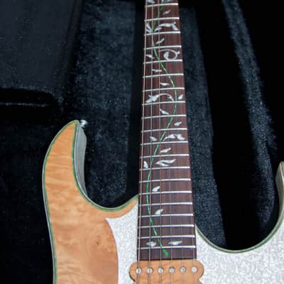 GB Liuteria Boutique Ergal 6 string jem edition image 7