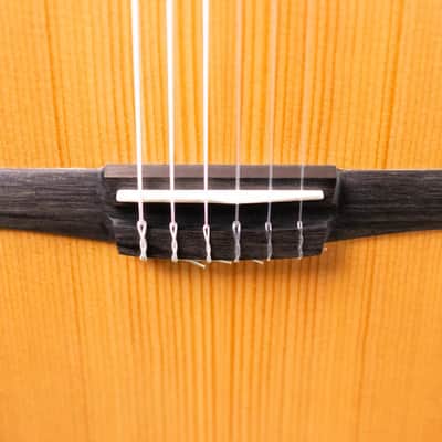 Taylor 212ce-N Plus Nylon Grand Concert Acoustic/Electric Guitar with Aerocase image 12