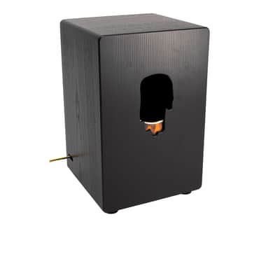 PUR Cajon Manufaktur Vision Pro Santos Palisander image 2