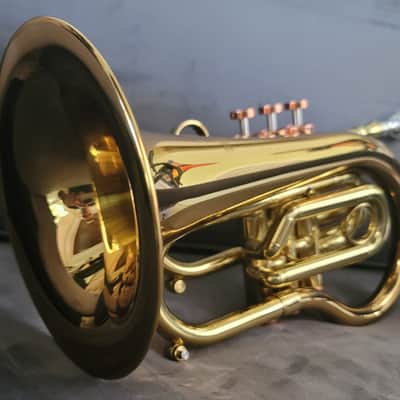 Carol Brass Compact Flugelhorn / Taylor Phat Puppy 2023 - Polished / Lacquered image 7