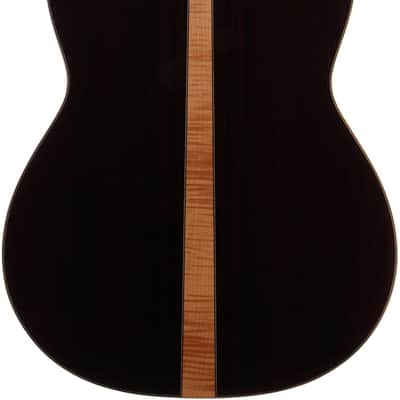 Cordoba C12 CD Classical Acoustic Guitar, with Case, Open Box (Very Good) image 6