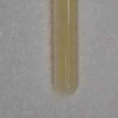 ALTO Sax Pads - MADE IN USA - FOR BUESCHER - FREE GLUE image 2