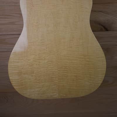 Galloup Dreadnought 2000s - natural image 9